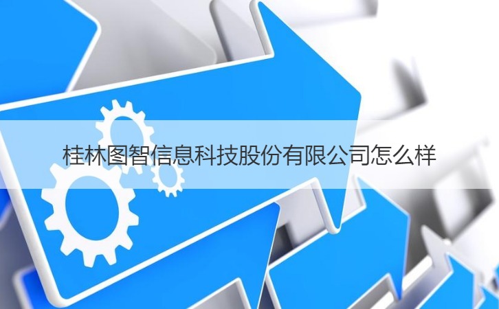 桂林图智信息科技股份有限公司怎么样